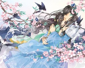 鲍鱼蜜芽永不失联的特点